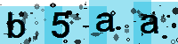 Capcha code