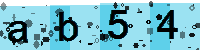 Capcha code