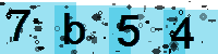 Capcha code