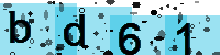 Capcha code